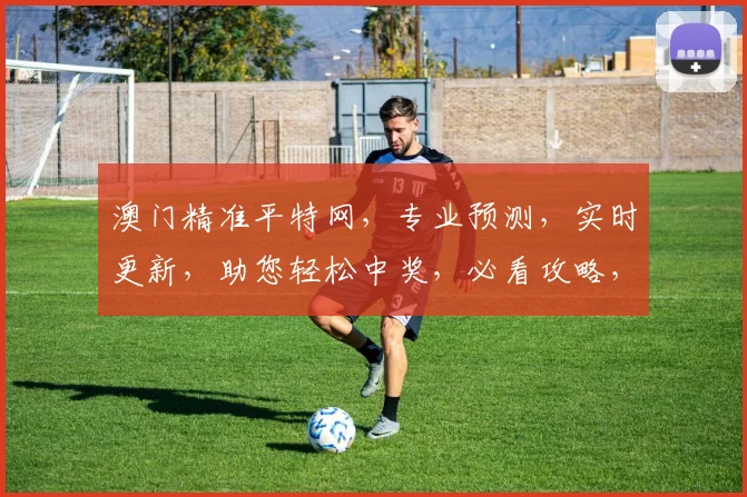 澳门精准平特网，专业预测，实时更新，助您轻松中奖，必看攻略，不容错过