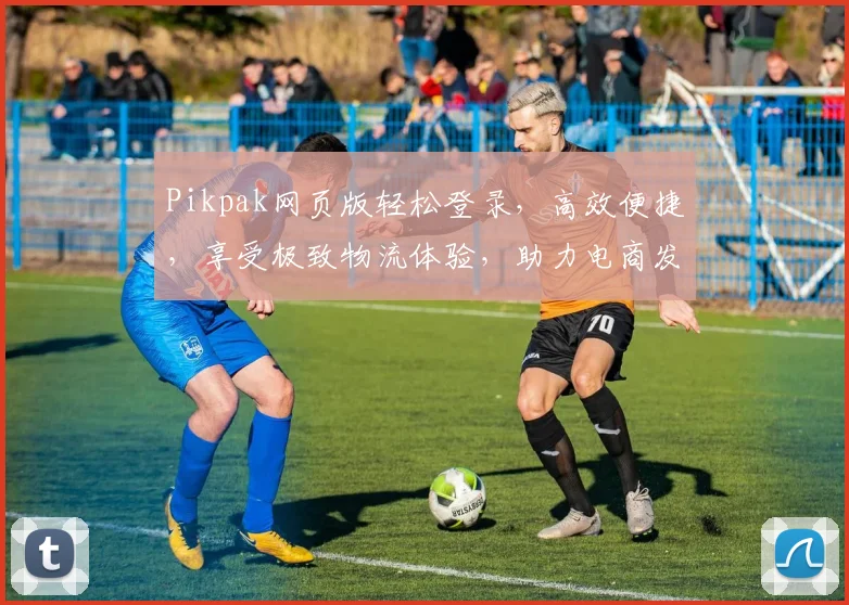 Pikpak网页版轻松登录，高效便捷，享受极致物流体验，助力电商发展，服务全球用户