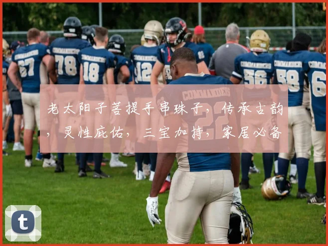 老太阳子菩提手串珠子，传承古韵，灵性庇佑，三宝加持，家居必备三件宝。