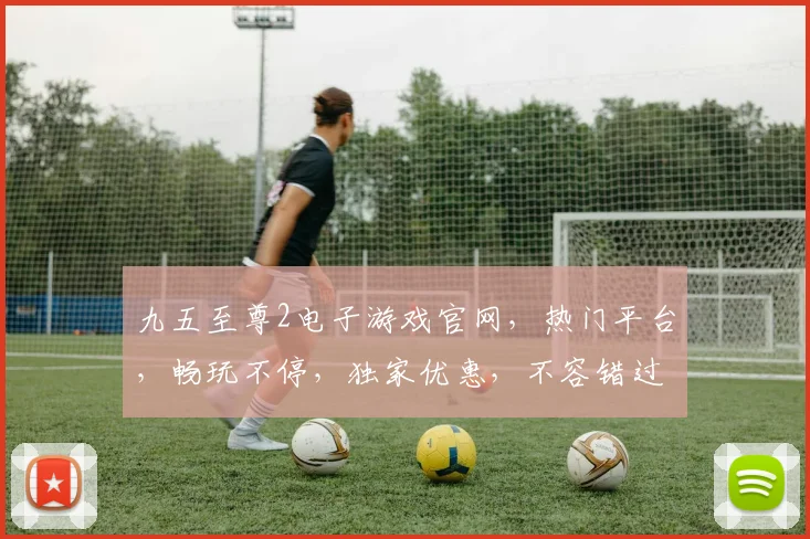 九五至尊2电子游戏官网，热门平台，畅玩不停，独家优惠，不容错过，畅享游戏乐趣