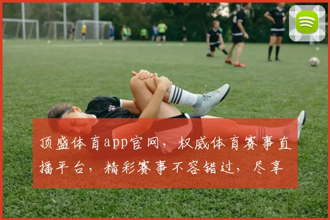 顶盛体育app官网，权威体育赛事直播平台，精彩赛事不容错过，尽享运动激情