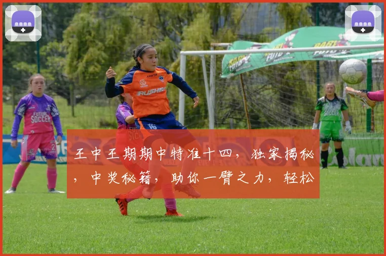 王中王期期中特准十四，独家揭秘，中奖秘籍，助你一臂之力，轻松中大奖